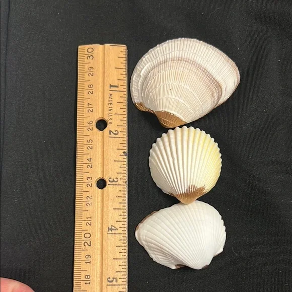 Handcrafted Floral Shell decoupage Trinket Dishes - Gold and Multicolor set of 3 - Picture 3 of 8